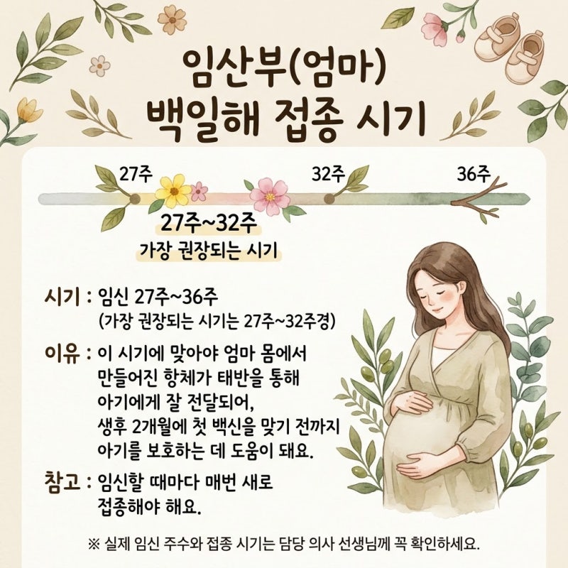 임산부 백일해 예방접종 시기 총정리, 남편과 가족은 언제 맞아야 할까?