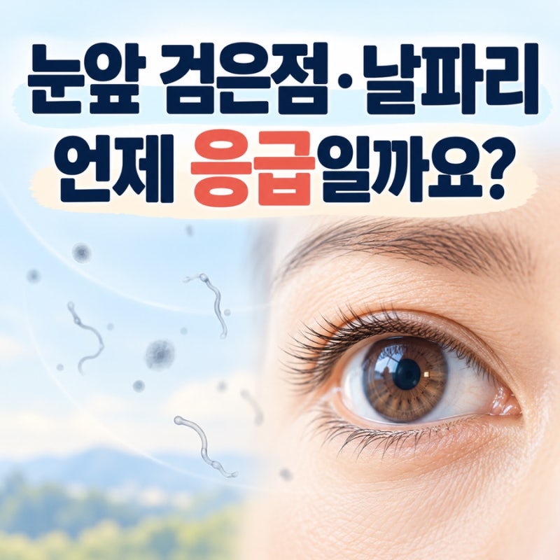 [건강레터]비문증 갑자기 늘면 응급일까요? 눈앞 검은점·번쩍임·커튼 시야 신호 눈앞에 날....