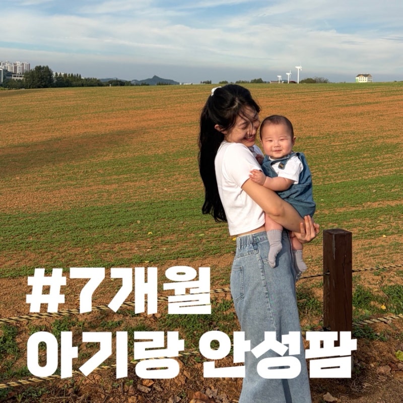 천안 근교 아기랑 가볼만한곳 추천｜7개월 아기와 다녀온 안성팜랜드 후기