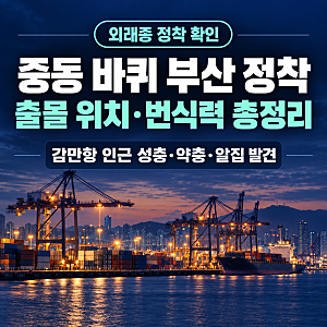 중동 바퀴 부산 정착, 출몰 위치 · 번식력 · 확산 가능성 총정리