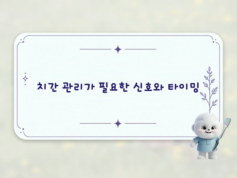 치간치아 사이 관리 루틴 처음이라면? 치실치간칫솔 선택 기준과 금기 행동
