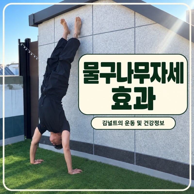 물구나무서기 효과 맨몸상체 운동 물구나무서기 4가지 자세잡는법