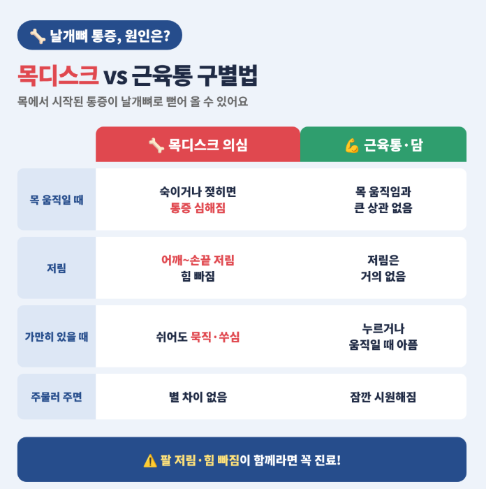 날개뼈가 아픈데 목디스크? 팔 저림·고개 숙일 때 통증이면 의심하세요