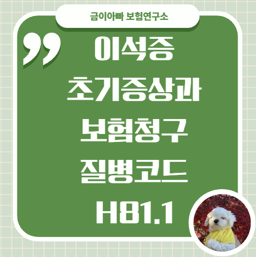 이석증 초기증상과 보험청구 질병코드, H81.1 확인