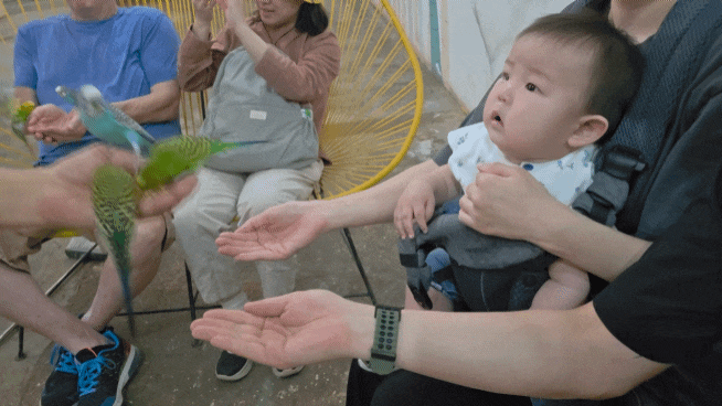 제주도 동물원 아기랑 남편이랑 다녀온 솔직 방문 후기