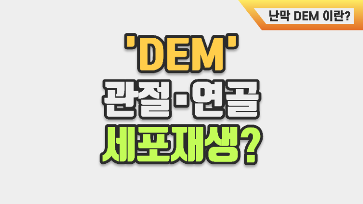 관절 연골 관리 난각막(DEM) 하나면 될까, 콜라겐 엘라스틴 히알루론산 콘드로이친 역활은?