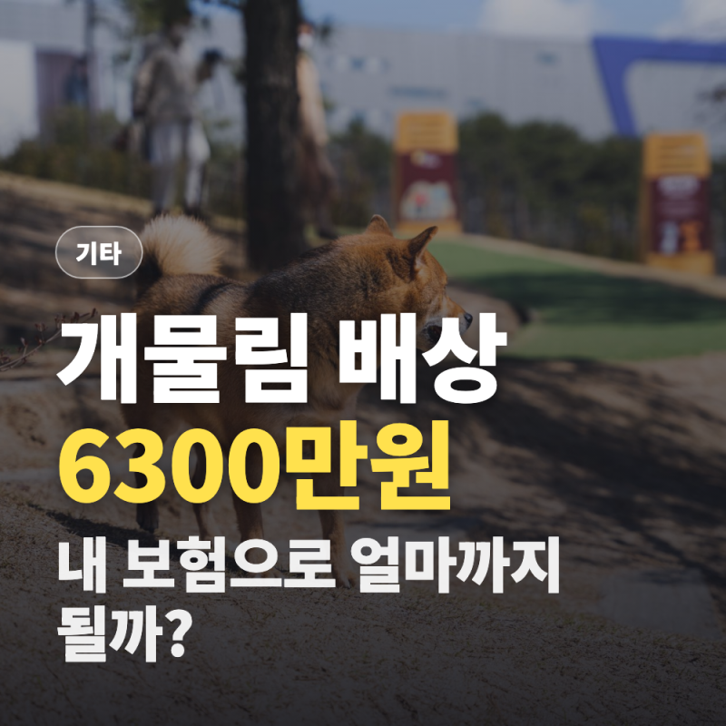 일상배상책임보험 개물림 6300만원 (가입여부와 자기부담금)