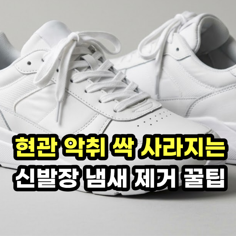 신발 냄새 제거 및 신발장 냄새 없애는법! 10원 동전 커피가루 탈취 꿀팁