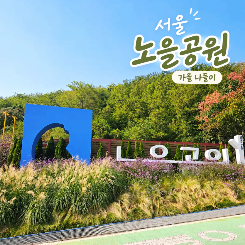 서울 노을공원 가을 나들이, 맹꽁이차 타고 정상까지! 캠핑장과 산책로 후기