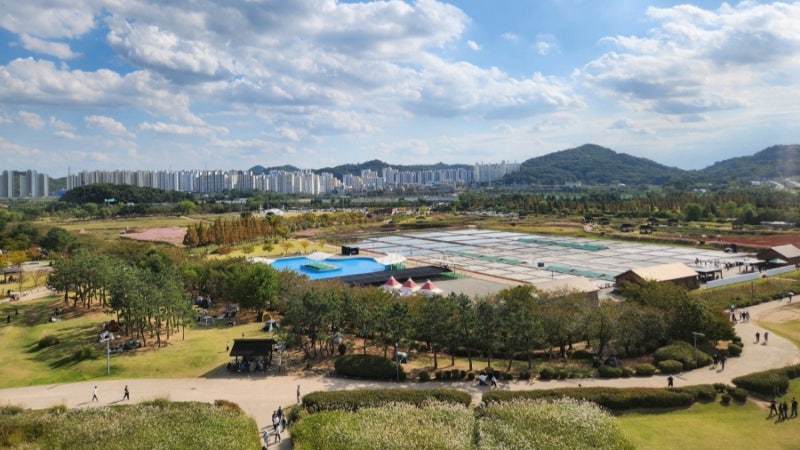 시흥 갯골생태공원 주차, 서울 근교 나들이, 아이 가볼만한 곳, 갯골공원 맛집, 식당, 자전거 ....