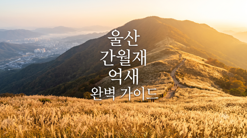 울산 간월재 억새 절정 시기 및 초보 사슴농장 등산코스 주차 꿀팁 총정리