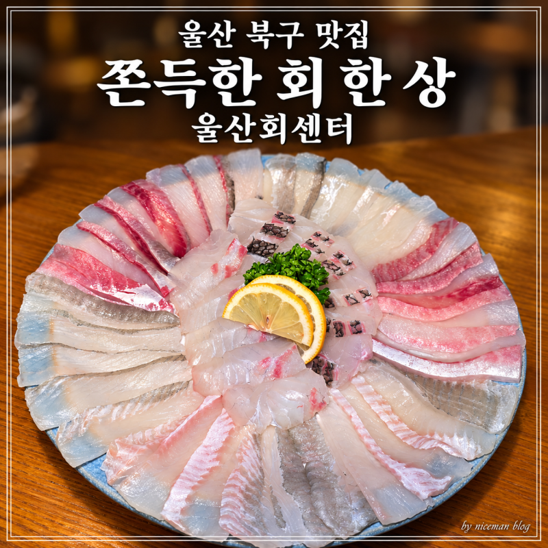 울산 횟집·울산 북구 맛집 울산회센터, 쫀득한 회와 신선한 해물 모둠 후기