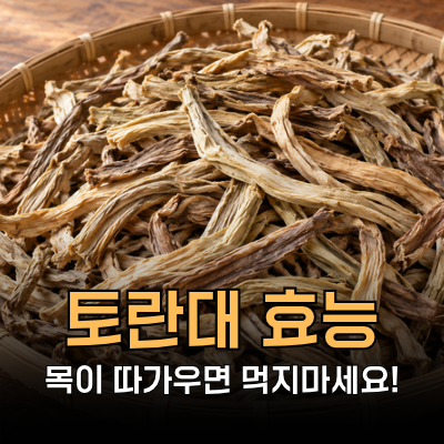 토란대 효능, 저칼로리인데 먹고 목이 따가운 이유는? 부작용, 영양성분, 제철, 먹는법ㅣ망고....