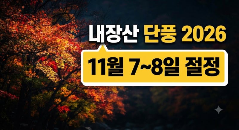 2026 내장산 단풍 절정 시기·차량통제·무료 순환버스 총정리
