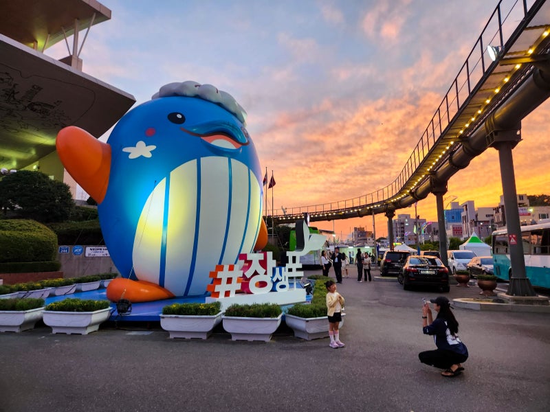 울산 가볼만한곳 장생포가 확 달라졌어요 2026 울산고래축제 총정리