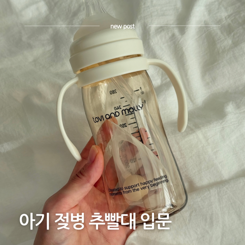 추빨대 젖병 사용시기 사용법 6개월에 세척편한 토비앤몰리로 입문