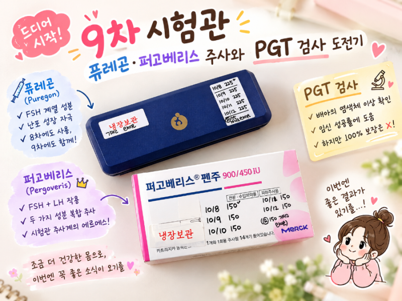드디어 9차 시험관 시작! PGT 검사 도전, 퓨레곤·퍼고베리스 주사 후기