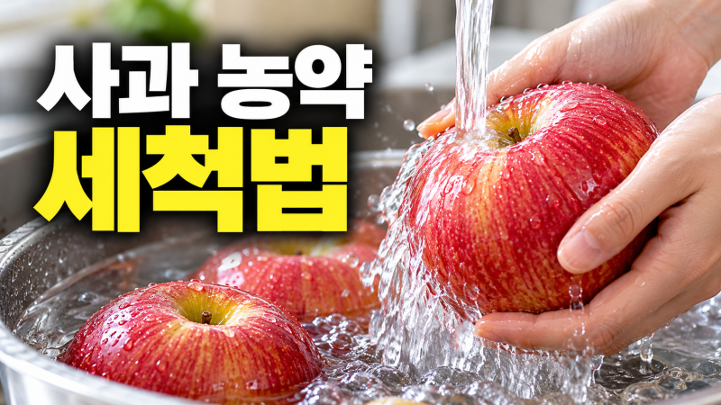 사과 농약 세척법 흐르는 물 세척 순서와 올바른 냉장 보관법