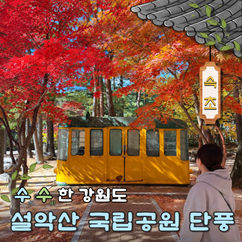 설악산 국립공원 입장료 주차 단풍 신흥사 카페 케이블카