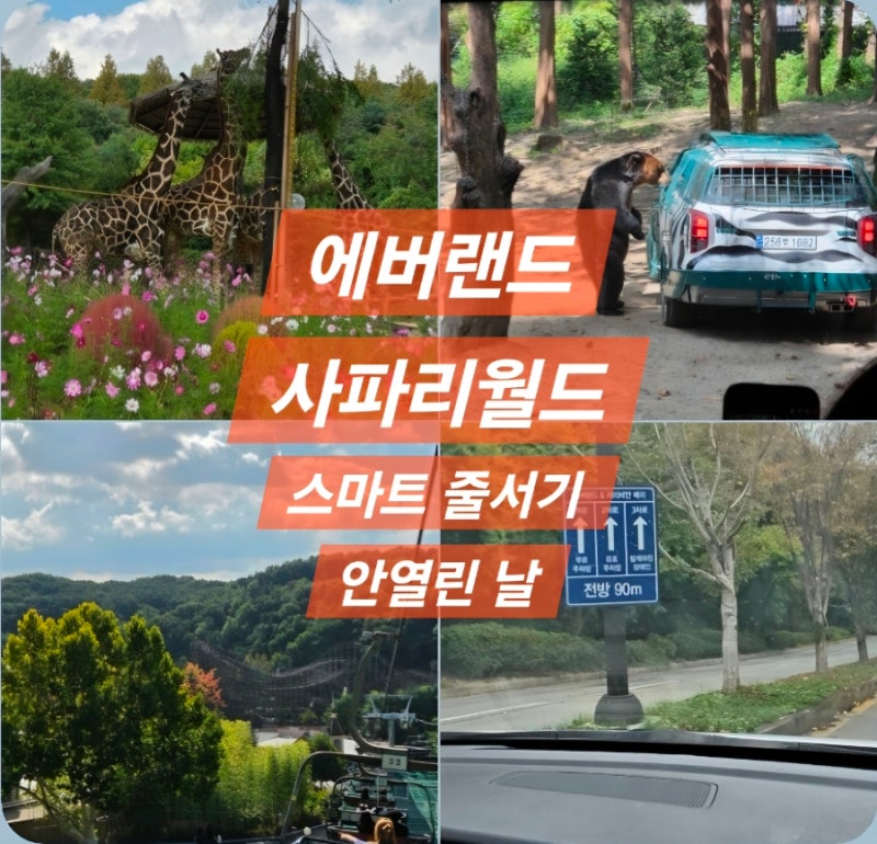 용인 에버랜드 사파리 월드, 로스트 밸리 스마트 줄서기 안될 때 아이랑 관람 꿀팁 (+주차, 오....