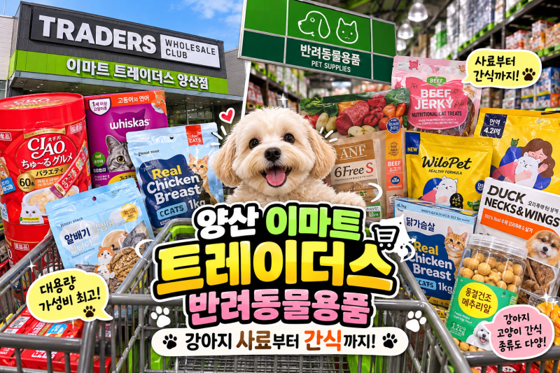 이마트 트레이더스 강아지 사료·간식 가격 총정리｜대용량 반려동물용품 쇼핑 후기