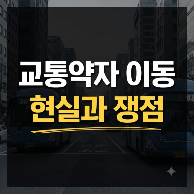 교통약자법 문제 5가지 쟁점, 교통약자법시행령까지 쉽게 정리