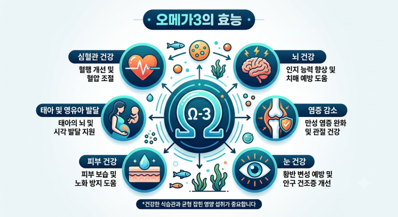 오메가3 언제 먹어야 할까? 섭취 시간과 알티지(rTG) 차이점 정리