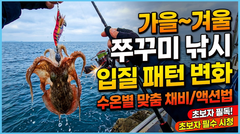 가을~겨울 수온 떨어질 때 쭈꾸미 낚시 입질 패턴 변화와 수온별 맞춤 채비/액션법 (초보자 ....