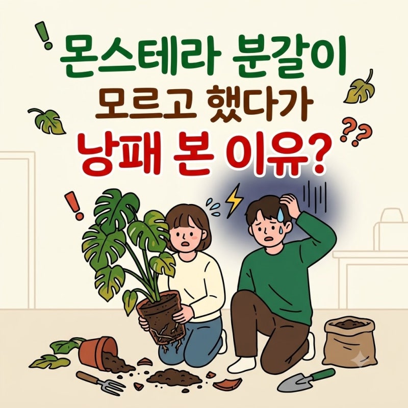 몬스테라 분갈이 흙 배합 시기 방법 | 모르고 분갈이 했다가 낭패 보는 이유?