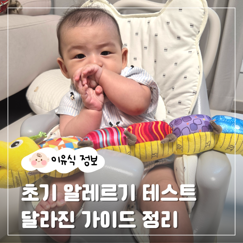 초기 이유식 밀가루/달걀/땅콩 알레르기 테스트 방법과 달라진 기준 정리