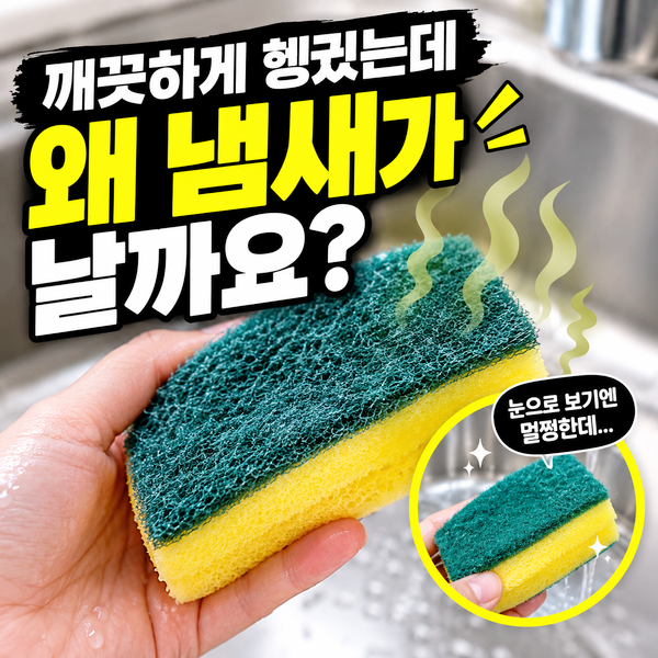 수세미 냄새 제거해도 다시 나는 이유와 관리법