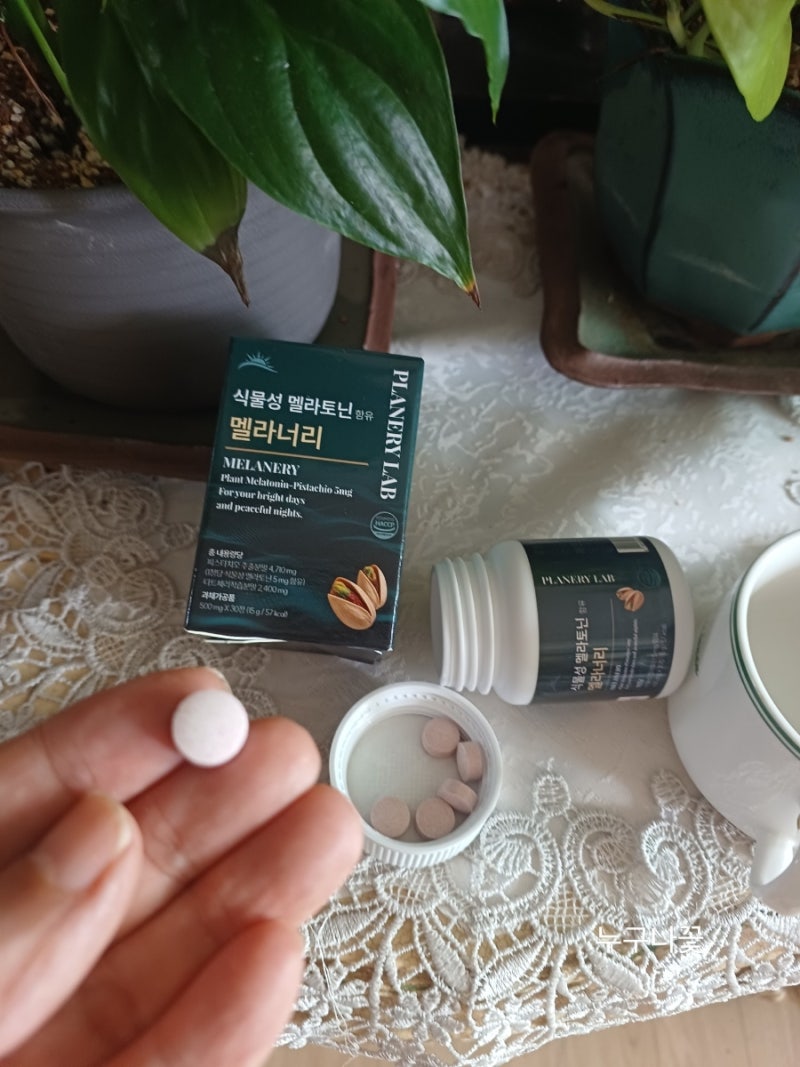 식물성 멜라토닌 5mg 플래너리랩 멜라너리 2중배합 수면보조제
