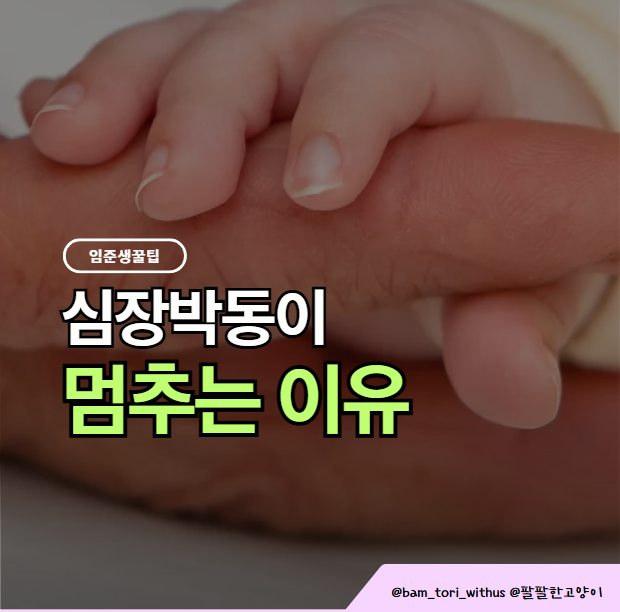 계류유산 원인 대부분은 따로 있다… 엄마가 자책하지 않아도 되는 이유