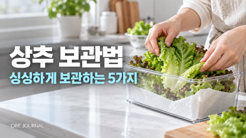 상추 보관법, 냉장고에서 싱싱하게 보관하는 방법 5가지