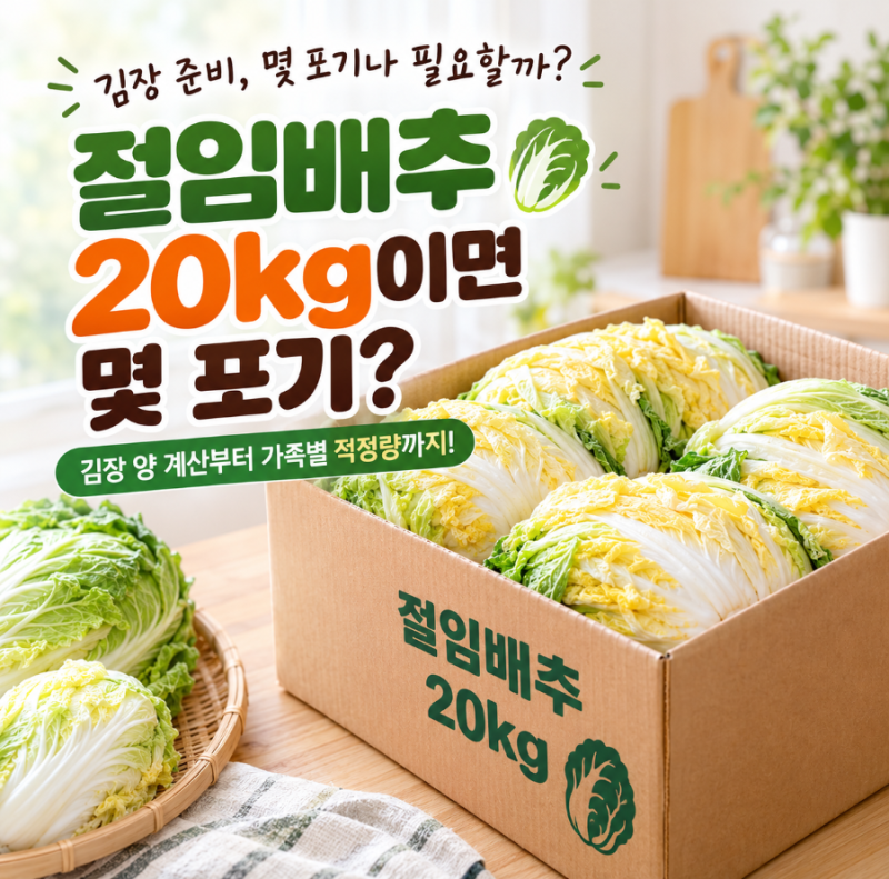 절임배추 20kg 몇 포기일까? 가족별 김장 양 계산 및 양념 비율 총정리