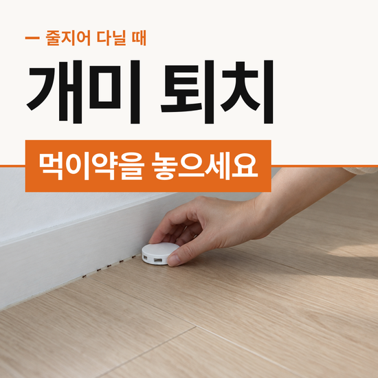 개미 퇴치 뿌리는 약 말고 먹이는 약을 놓으세요