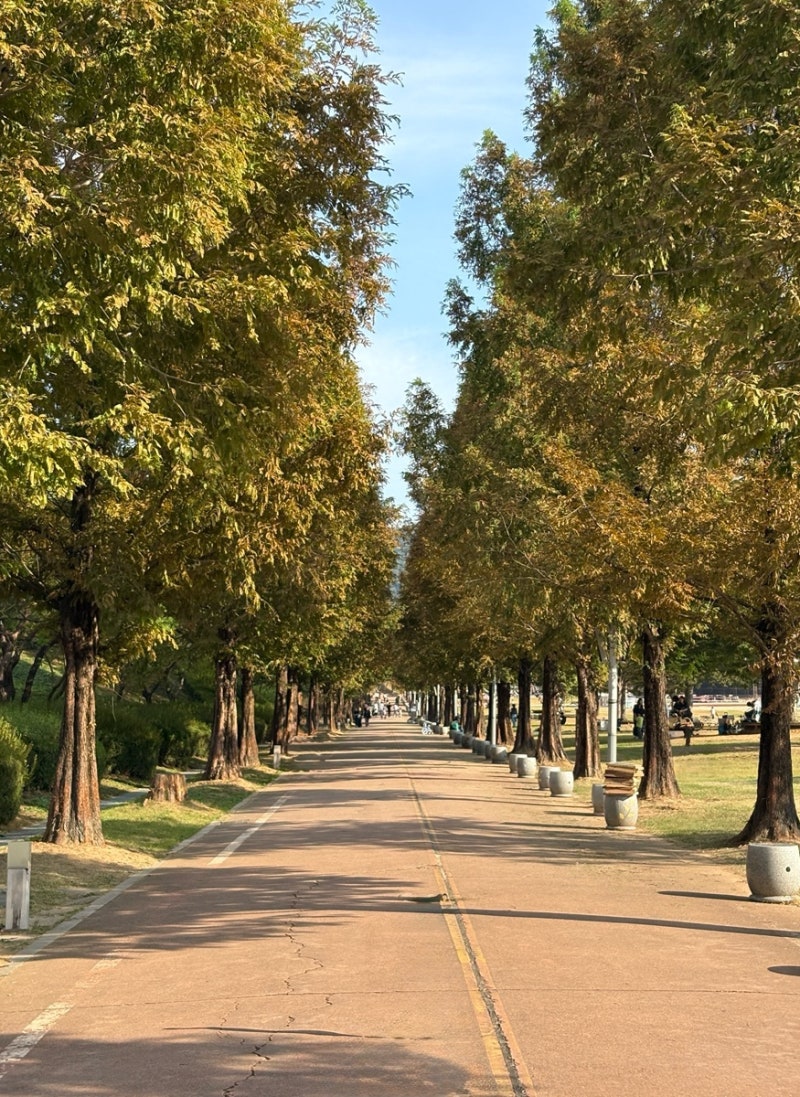 안성 가볼만한곳 안성맞춤랜드｜가을 나들이 피크닉 산책 명소 추천
