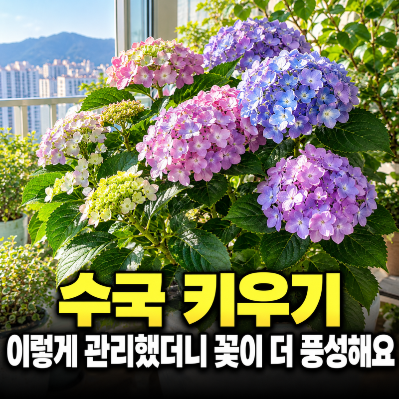수국 키우기 5년, 10월에 가지를 함부로 자르면 안 되는 이것 이유