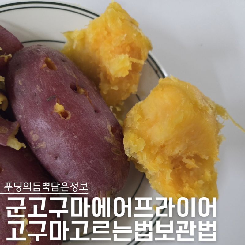 군고구마 에어프라이어 꿀고구마 보관법 고르는법, 비결은?