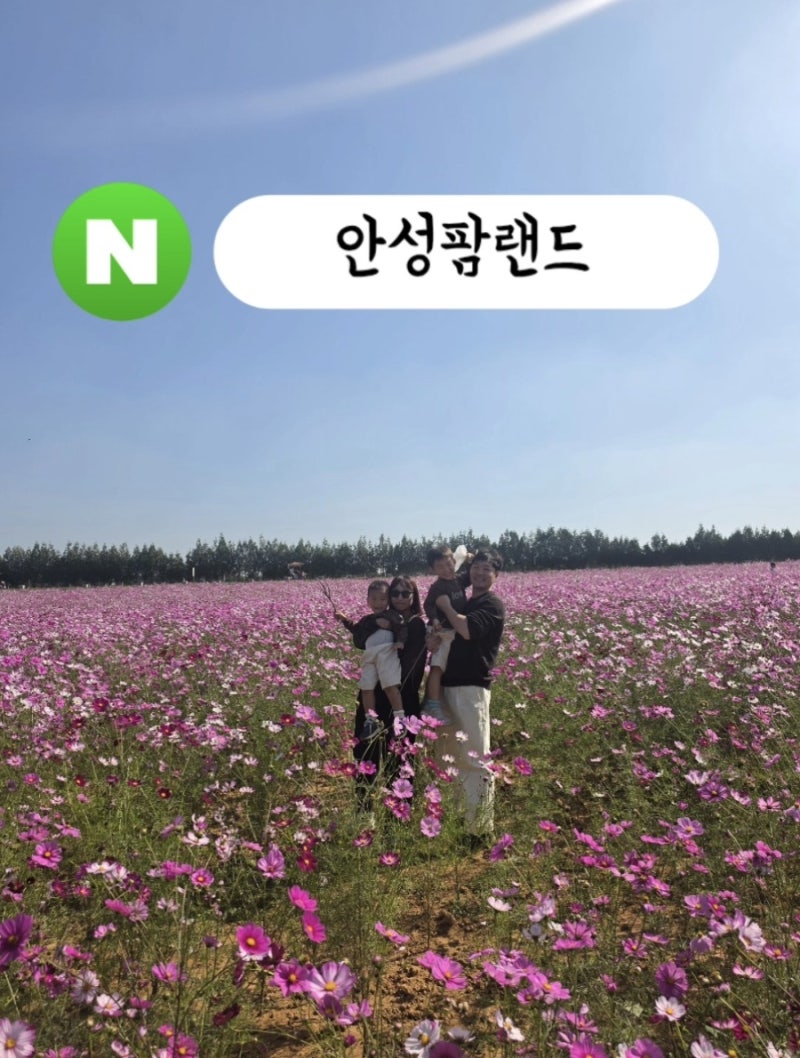 [안성팜랜드]서울 근교 아이와 가볼만한 곳/동물체험,꽃구경,승마,카트,놀이터 등