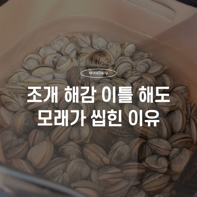 갯벌체험 조개 해감 방법, 이틀 해감해도 모래가 씹혔던 이유
