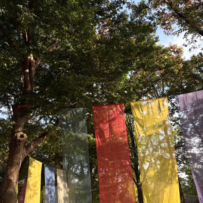 용인 한국민속촌 할인 최대로 받는 법 주차·교통편·심야공포촌 총정리 (지도 포함)