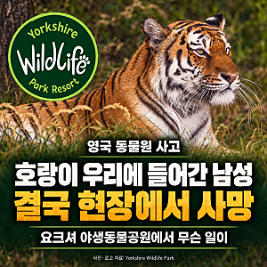영국 동물원 호랑이 우리에 들어간 남성 사망, 요크셔 야생동물공원에서 무슨 일이