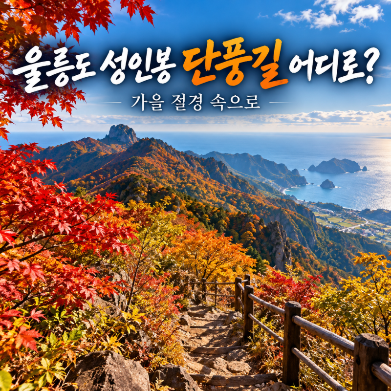 울릉도 성인봉 가을 단풍 트레킹 및 단풍 여행 코스