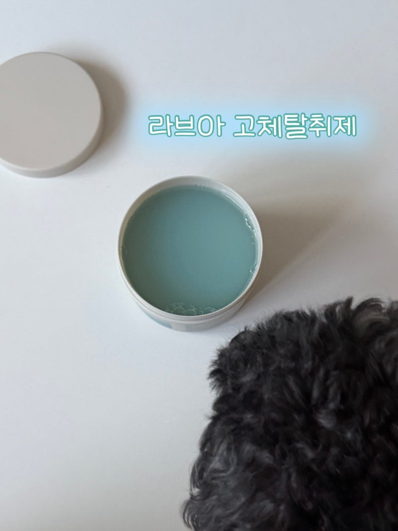 라브아 고체탈취제 반려견 냄새 관리 후기