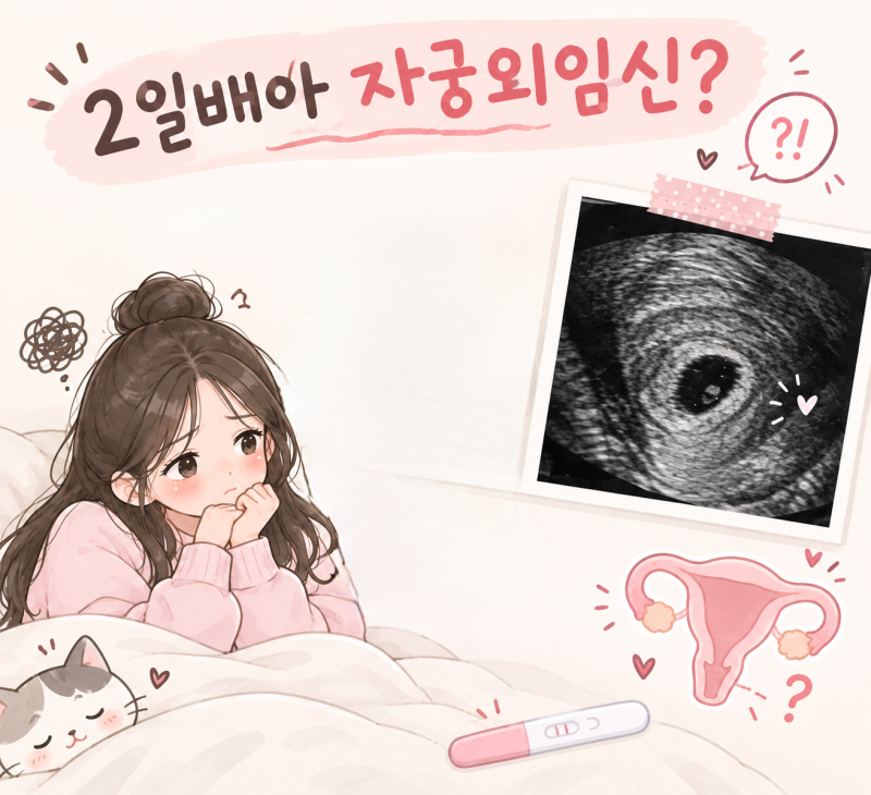 임신의 세계로.. 시험관 준비 6탄 | 2일배아 이식 후 초기 증상, 초음파 시기 및 결과