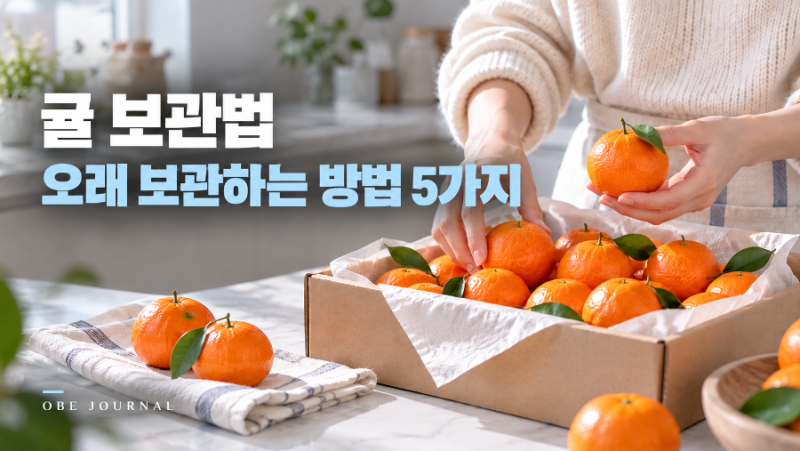 귤 보관법, 곰팡이 예방하고 오래 보관하는 방법 5가지