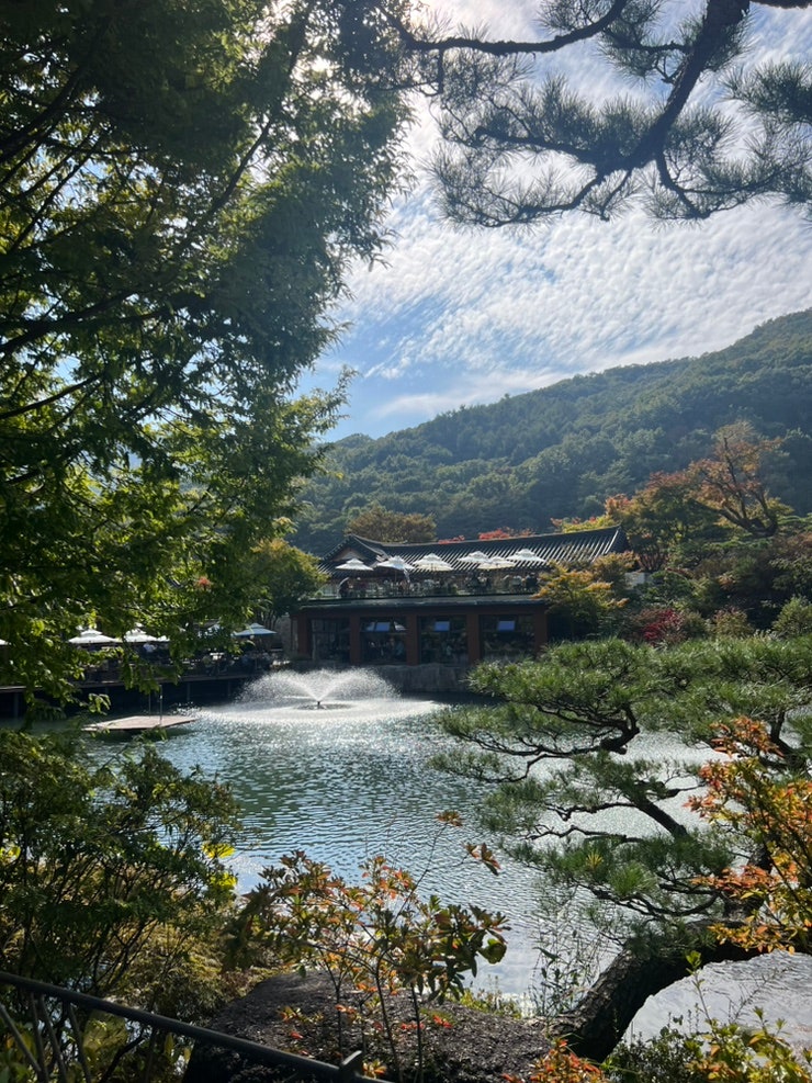 화담숲 10월 아기랑 방문 후기 | 유모차, 수유실, 주차, 모노레일