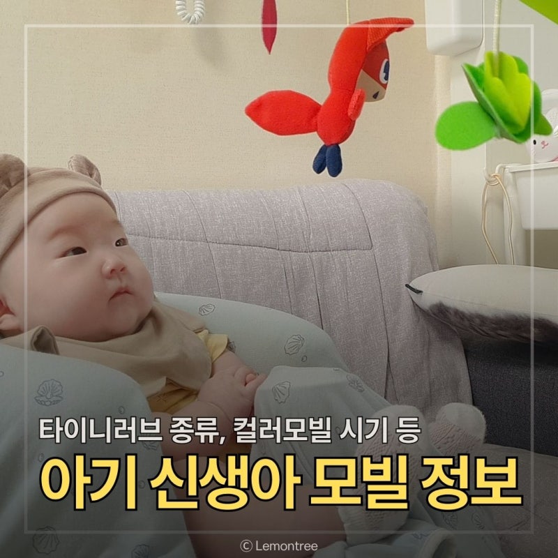 아기 신생아 타이니모빌 종류, 흑백 컬러모빌 시기 정보