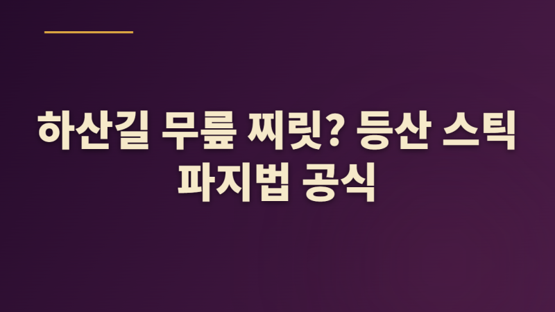 무릎 통증 줄이는 등산 스틱 올바른 길이 조절과 보행법: 오르막·내리막 파지법 실수 체크리....